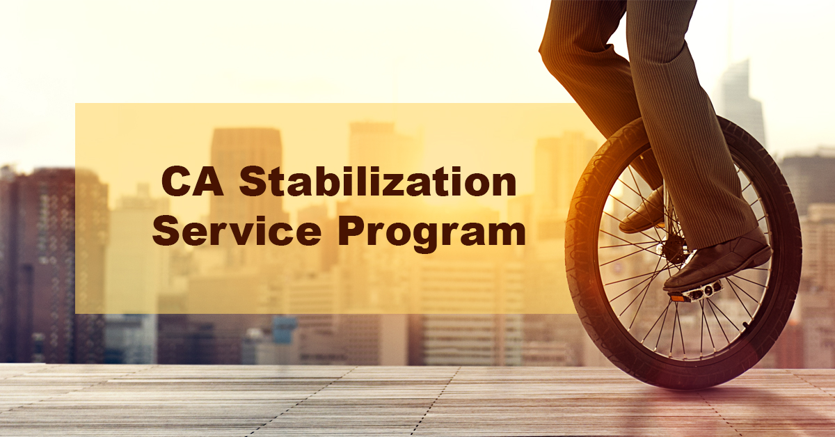 Stabilizing State Critical Services