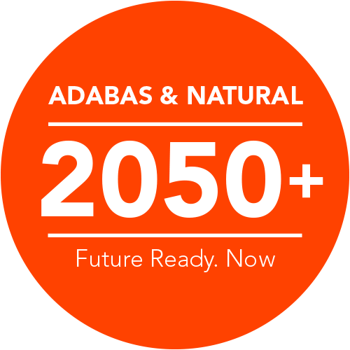 ADABAS and Natural 2050+ future ready. now. logo